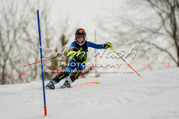 alpine-Feb19-2017-DSC_0775