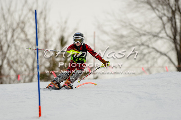 alpine-Feb19-2017-DSC_0665