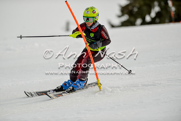 alpine-Feb19-2017-DSC_0854