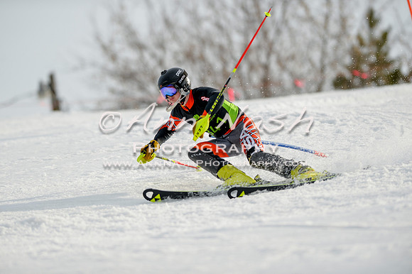 alpine-Feb19-2017-DSC_1365