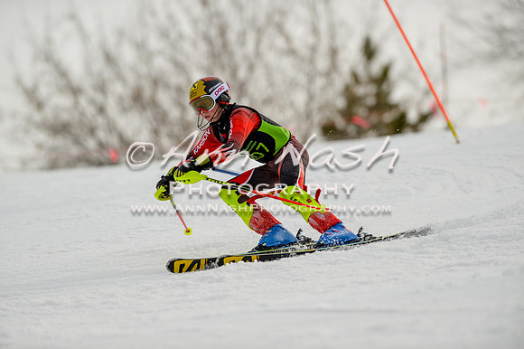 alpine-Feb19-2017-DSC_0758