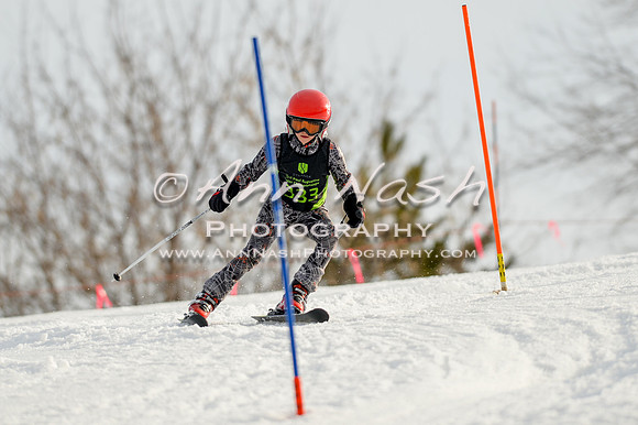 alpine-Feb19-2017-DSC_1409