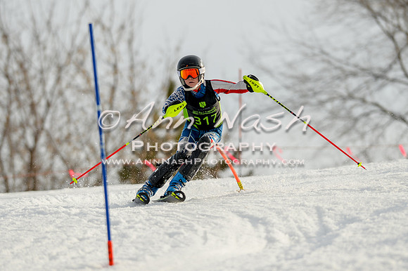 alpine-Feb19-2017-DSC_1391