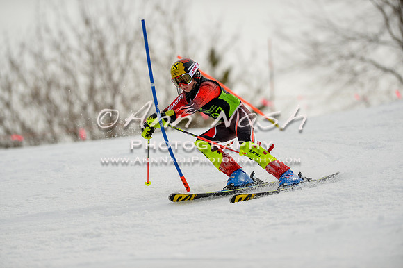 alpine-Feb19-2017-DSC_0756
