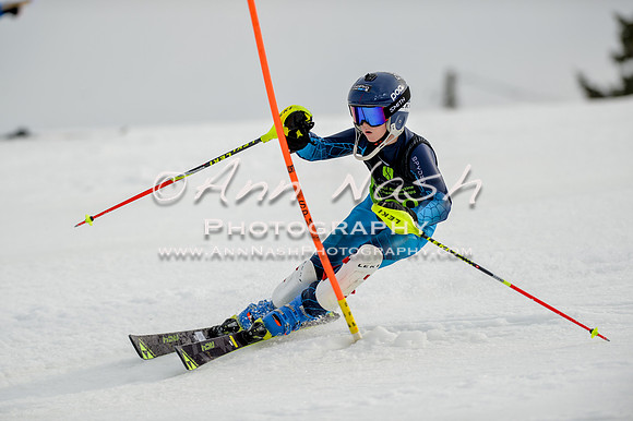 alpine-Feb19-2017-DSC_0318