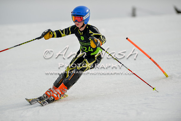 alpine-Feb19-2017-DSC_0490