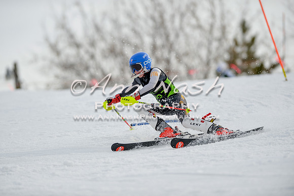 alpine-Feb19-2017-DSC_1107