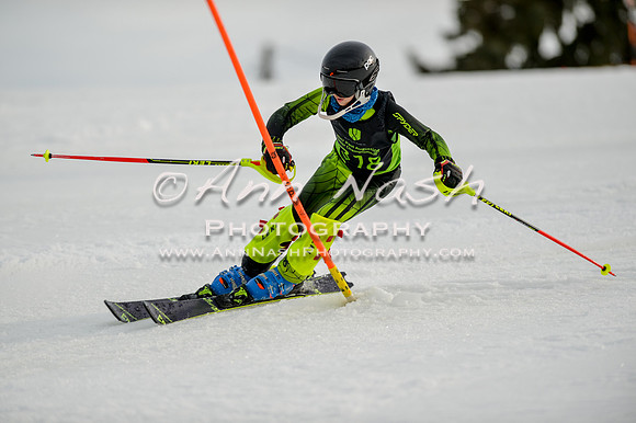 alpine-Feb19-2017-DSC_1127