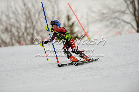 alpine-Feb19-2017-DSC_0586