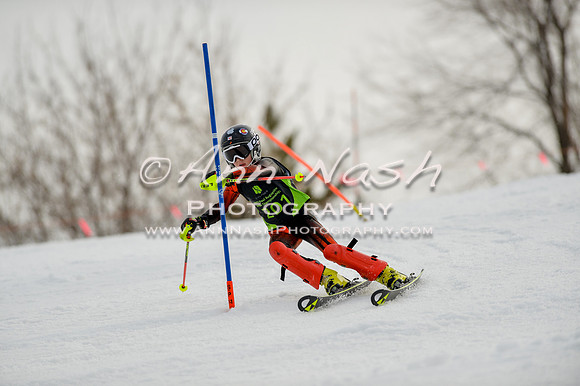 alpine-Feb19-2017-DSC_0437