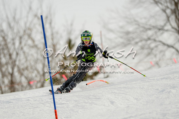alpine-Feb19-2017-DSC_0861