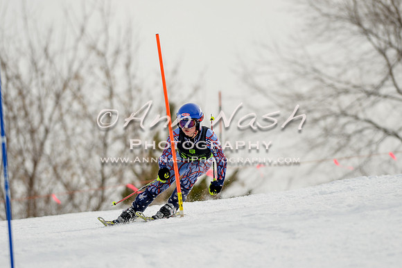 alpine-Feb19-2017-DSC_0389