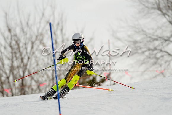 alpine-Feb19-2017-DSC_0838