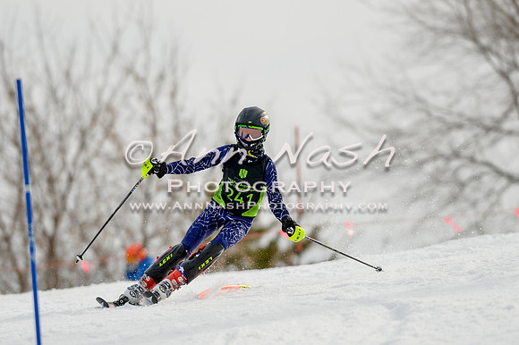 alpine-Feb19-2017-DSC_0322