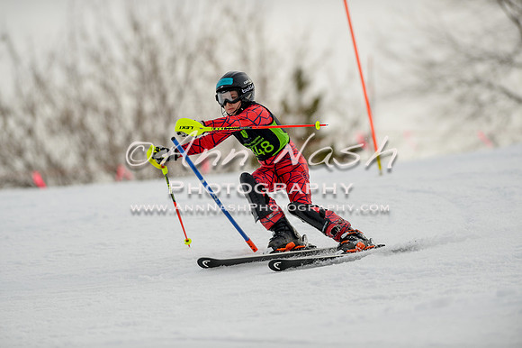 alpine-Feb19-2017-DSC_0599