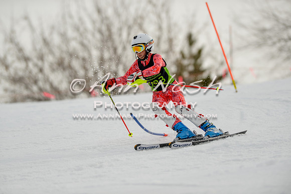 alpine-Feb19-2017-DSC_0708