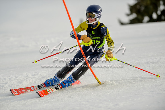 alpine-Feb19-2017-DSC_1238