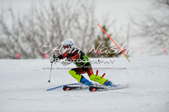 alpine-Feb19-2017-DSC_0403