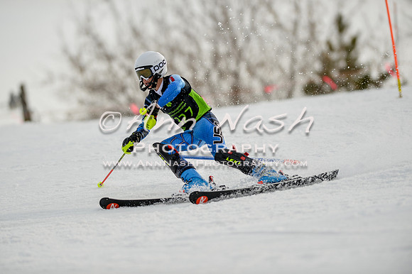 alpine-Feb19-2017-DSC_1050