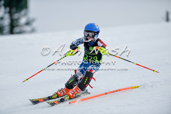 alpine-Feb19-2017-DSC_0365