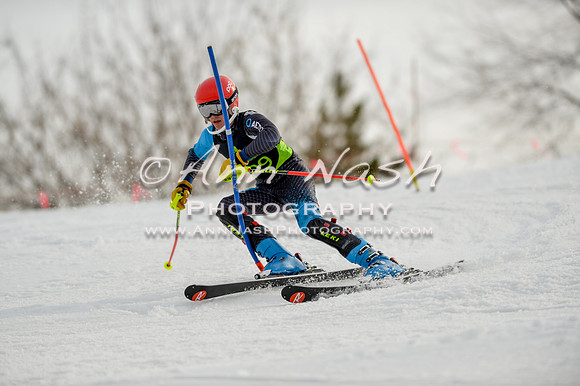 alpine-Feb19-2017-DSC_1011
