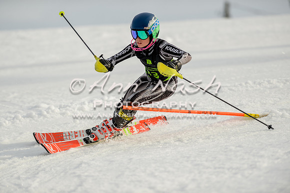 alpine-Feb19-2017-DSC_1324