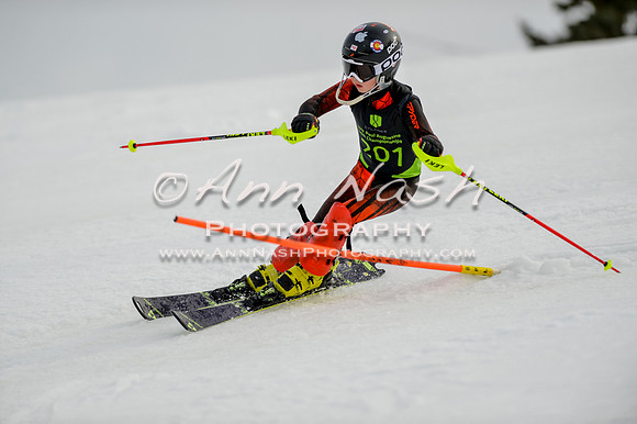 alpine-Feb19-2017-DSC_0441