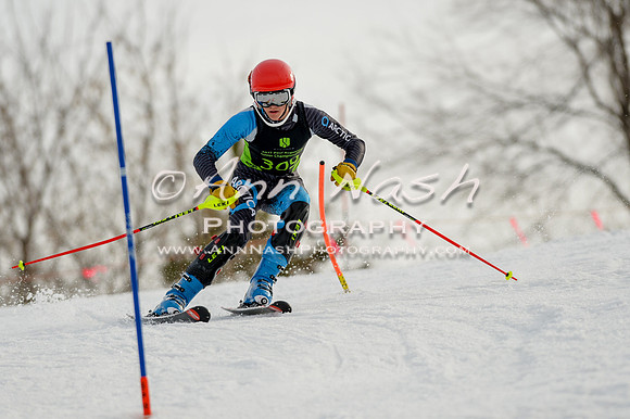 alpine-Feb19-2017-DSC_1010