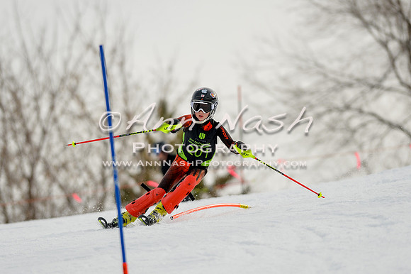 alpine-Feb19-2017-DSC_0433
