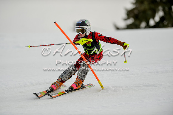 alpine-Feb19-2017-DSC_0672
