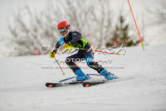 alpine-Feb19-2017-DSC_1012