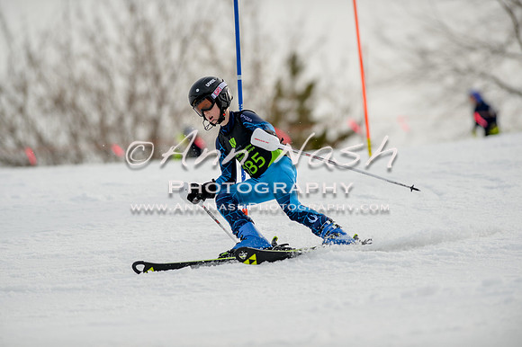 alpine-Feb19-2017-DSC_0420