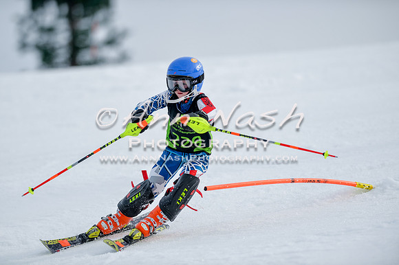 alpine-Feb19-2017-DSC_0366