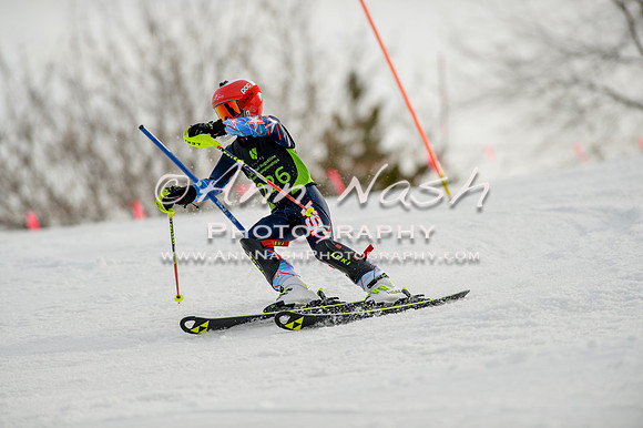alpine-Feb19-2017-DSC_0956