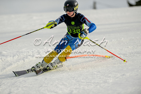 alpine-Feb19-2017-DSC_1288