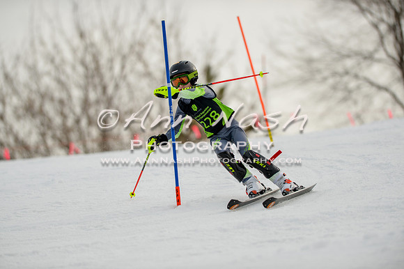alpine-Feb19-2017-DSC_0613