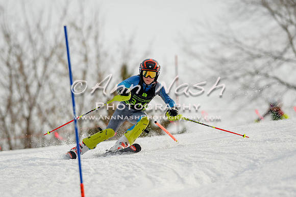 alpine-Feb19-2017-DSC_1268