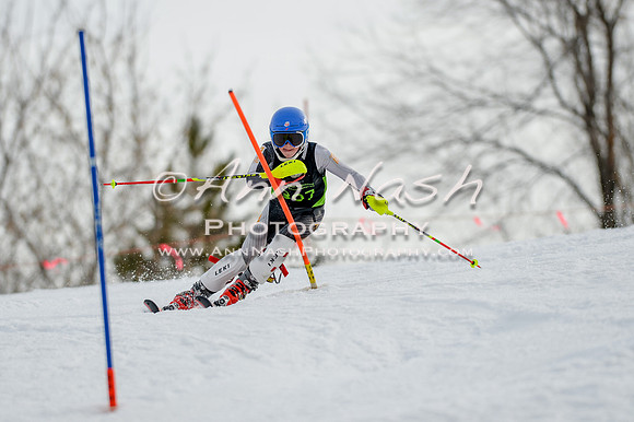 alpine-Feb19-2017-DSC_1103