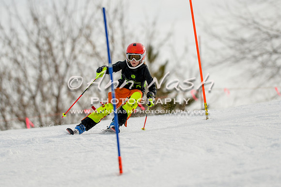alpine-Feb19-2017-DSC_0903