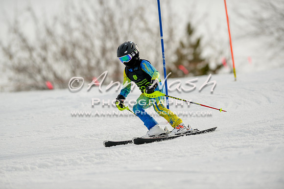 alpine-Feb19-2017-DSC_0787