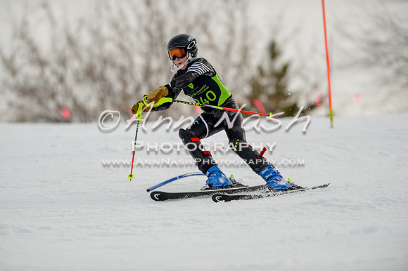 alpine-Feb19-2017-DSC_0509