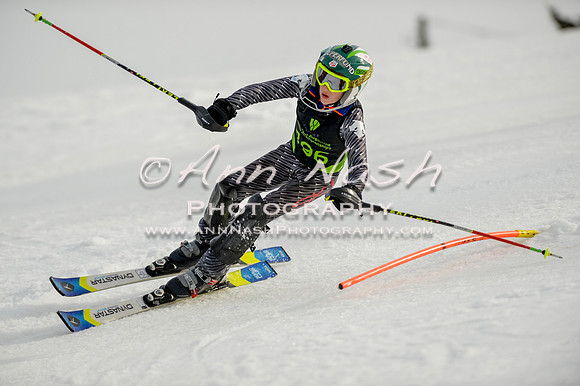 alpine-Feb19-2017-DSC_0867