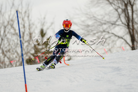 alpine-Feb19-2017-DSC_0953