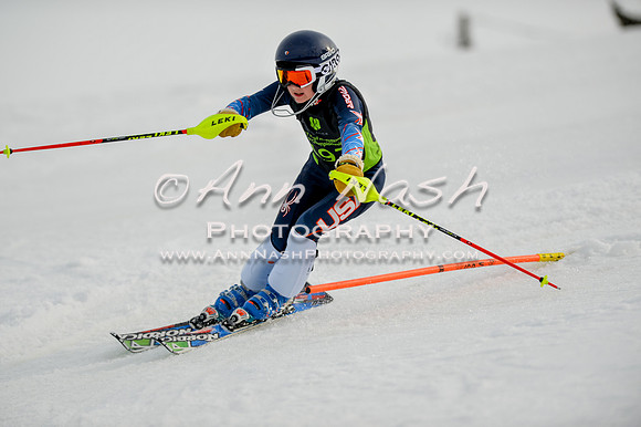 alpine-Feb19-2017-DSC_0975