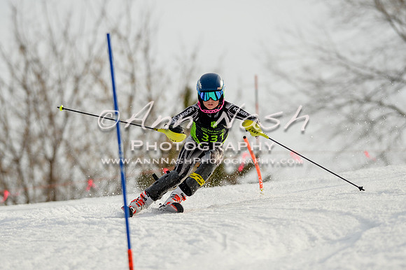 alpine-Feb19-2017-DSC_1319