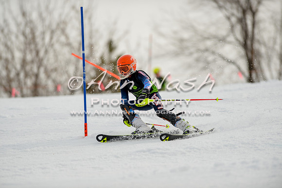 alpine-Feb19-2017-DSC_0465