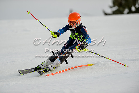 alpine-Feb19-2017-DSC_0471