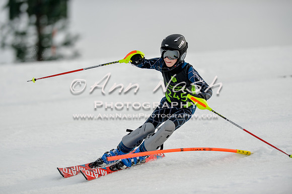 alpine-Feb19-2017-DSC_0376