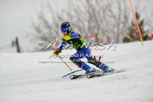 alpine-Feb19-2017-DSC_0309