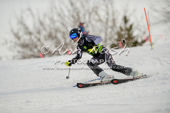 alpine-Feb19-2017-DSC_1149